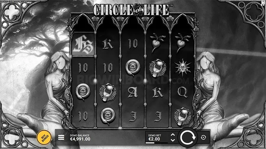 Guide to Live Casino